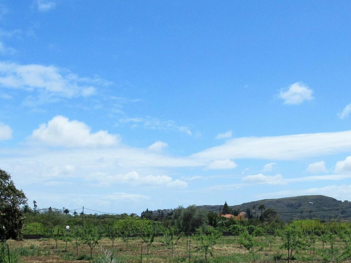 Casa Rural El Alpendre Vega de San Mateo Bagian luar foto