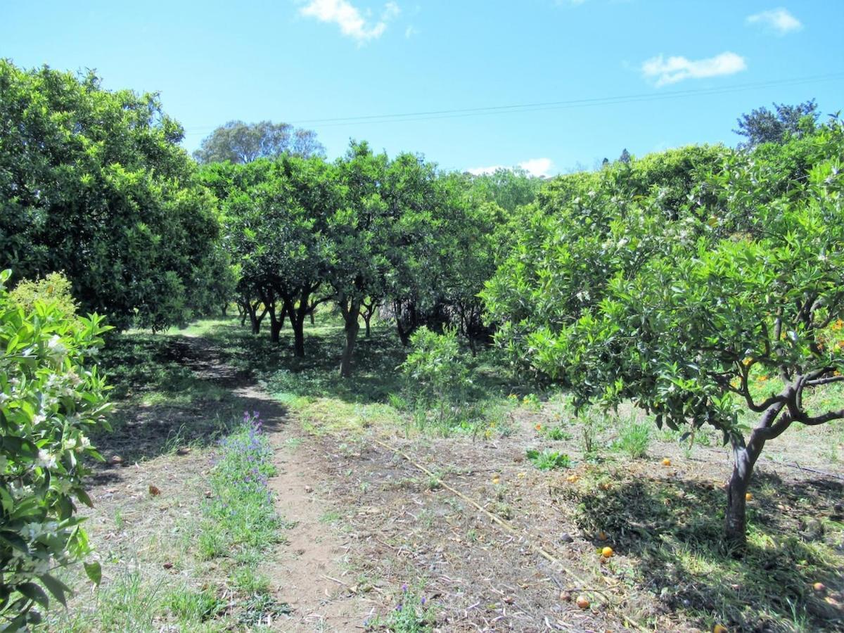 Casa Rural El Alpendre Vega de San Mateo Bagian luar foto