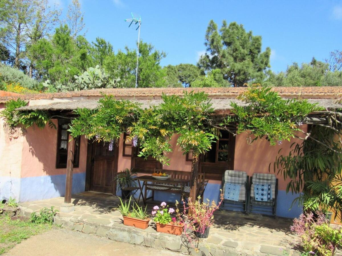 Casa Rural El Alpendre Vega de San Mateo Bagian luar foto