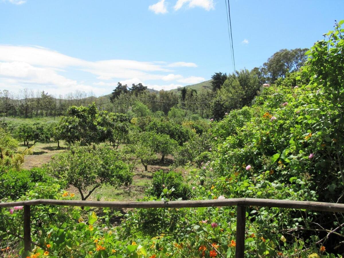 Casa Rural El Alpendre Vega de San Mateo Bagian luar foto