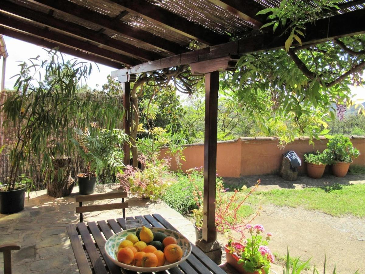 Casa Rural El Alpendre Vega de San Mateo Bagian luar foto